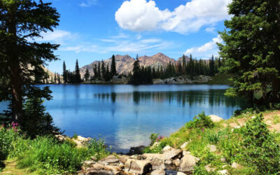 The Peace of Restful Learning