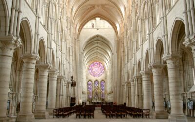 A Cathedral Vision of Education